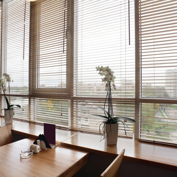 Bumble Bee Blinds — image 3