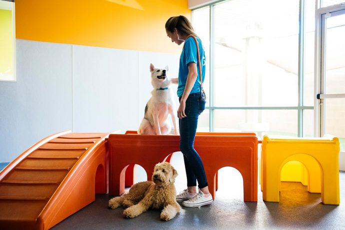 Dogtopia — image 2