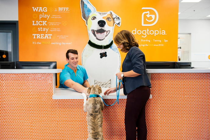 Dogtopia — image 4