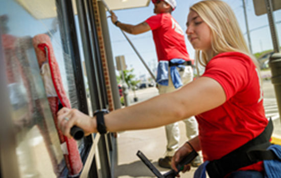Fish Window Cleaning — image 4