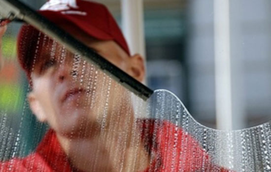 Fish Window Cleaning — image 5