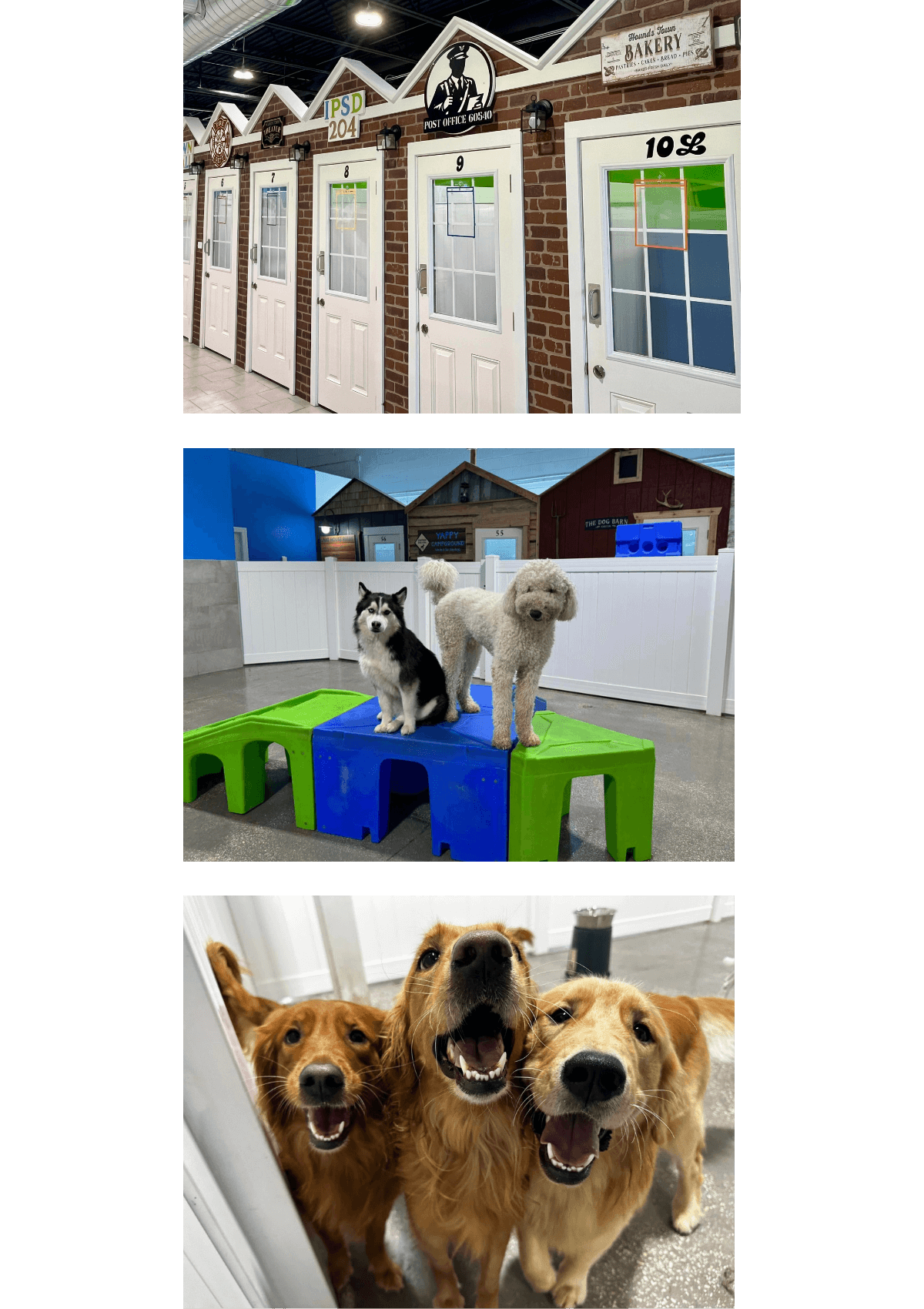 Hounds Town USA — image 3