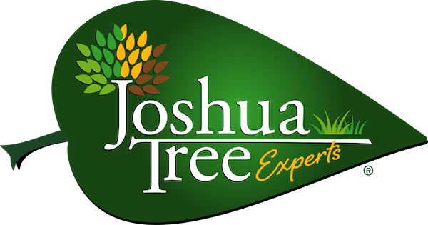 Joshua Tree Experts — image 1