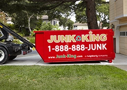 Junk King — image 3