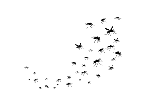 Mosquito Shield — image 2