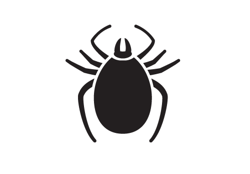 Mosquito Shield — image 4