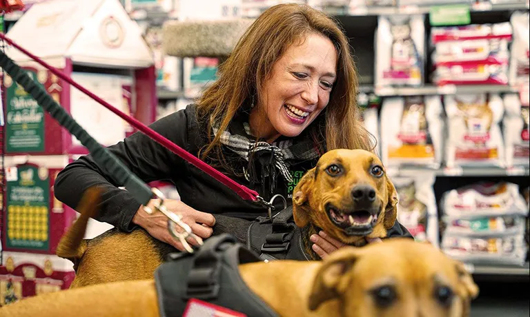 Pet Supplies Plus — image 2