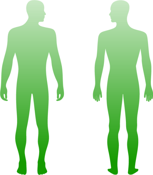 QC Kinetix Non-Surgical Regeneration — image 2