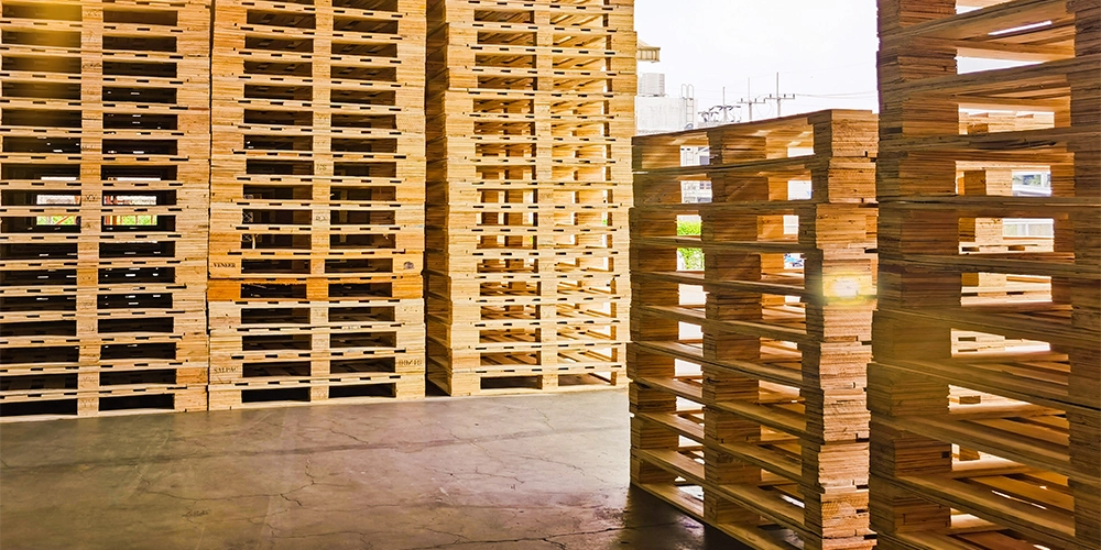 Supply Pointe — image 3