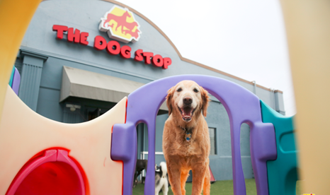 The Dog Stop — image 1