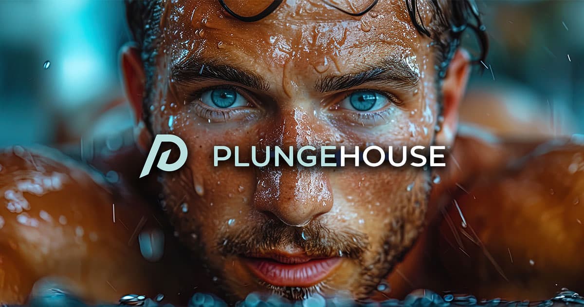 The Plunge House — image 1