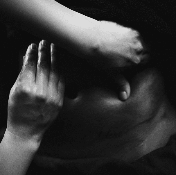 The Tox — image 5