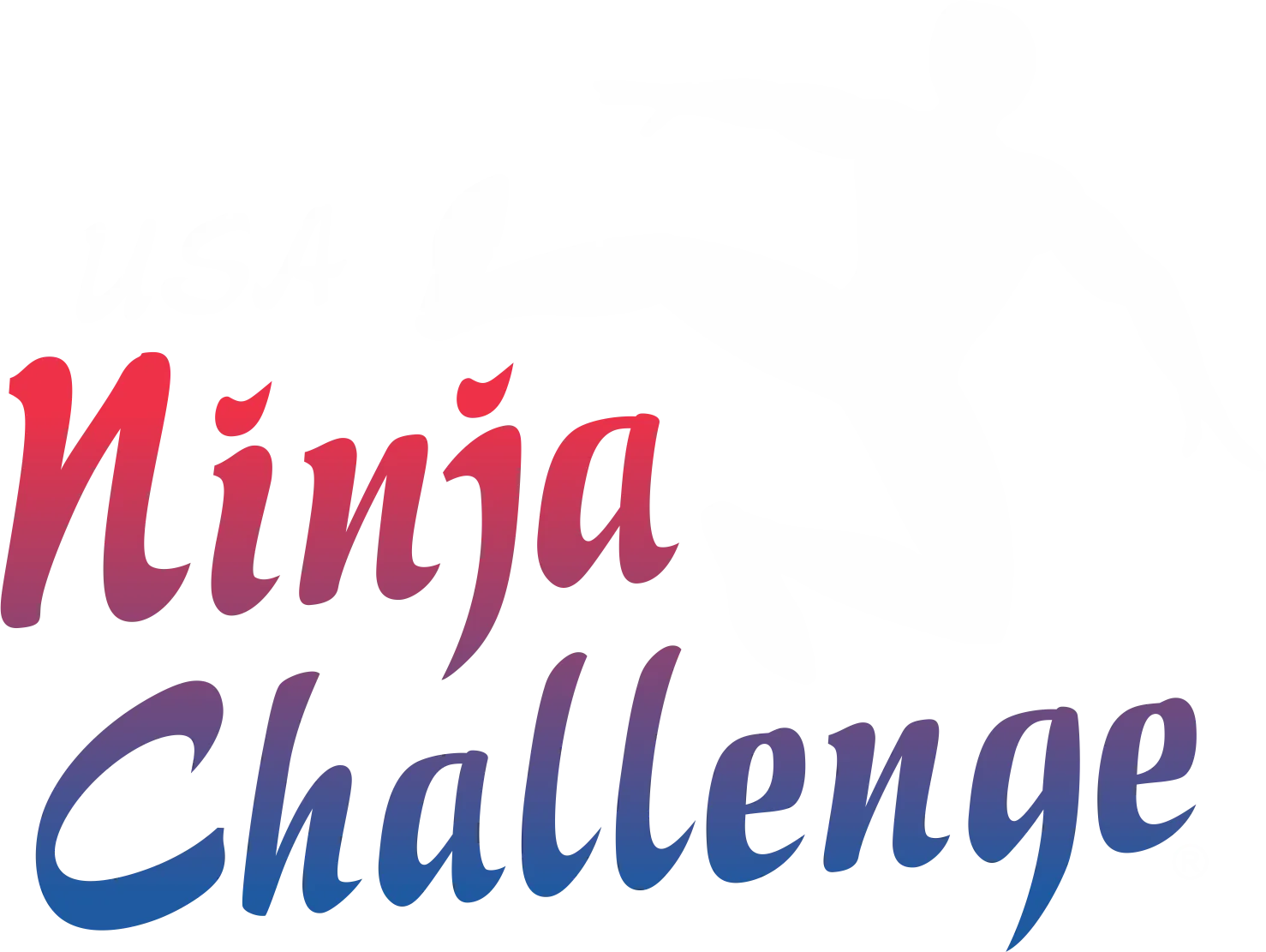 USA Ninja Challenge — image 2