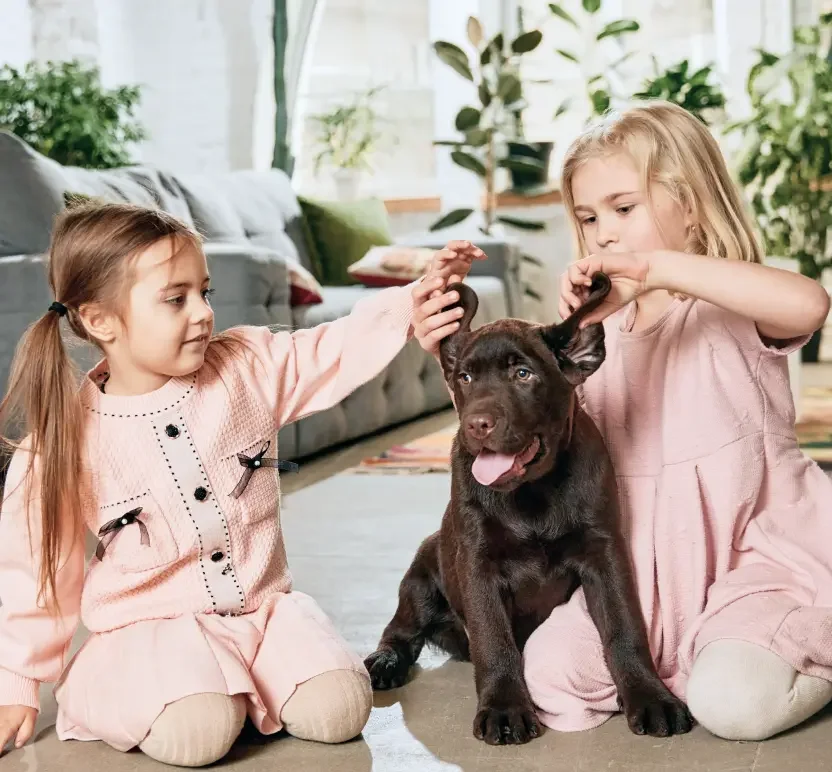 Waggles Puppy Boutique — image 3